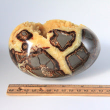 Load image into Gallery viewer, Septarian Egg with a large Hollow Cavity filled with Calcite Crystals