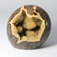 Load image into Gallery viewer, Septarian geode hand free-formed and shaped into a beautiful polished Septarian Standup filled with Sparkly Calcite Crystals