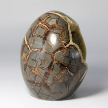 Load image into Gallery viewer, Septarian geode hand free-formed and shaped into a beautiful polished Septarian Standup filled with Sparkly Calcite Crystals