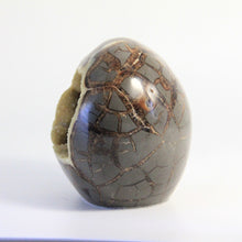 Load image into Gallery viewer, Septarian geode hand free-formed and shaped into a beautiful polished Septarian Standup filled with Sparkly Calcite Crystals