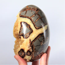 Load image into Gallery viewer, Septarian Egg with a large Hollow Cavity filled with Calcite Crystals