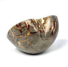 Load image into Gallery viewer, Utah Septarian polished back 3d Heart
