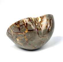 Load image into Gallery viewer, Utah Septarian polished back 3d Heart