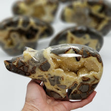 Load image into Gallery viewer, Septarian Long Neck Bear