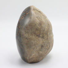 Load image into Gallery viewer, Septarian Standup Sculpture