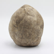 Load image into Gallery viewer, Tall Septarian Standup showing rough back side