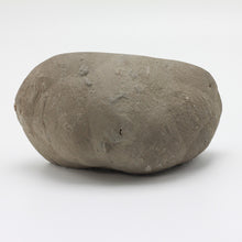 Load image into Gallery viewer, Septarian Standup back rough rock view