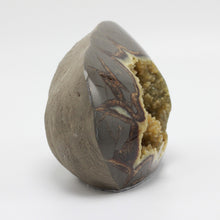 Load image into Gallery viewer, Septarian Standup Bevel back edge with Calcite Crystal Hollow Cavity