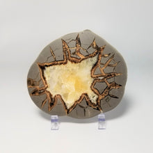Load image into Gallery viewer, Septarian Slice from a Utah Septarian Nodule Geode