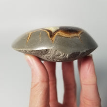 Load image into Gallery viewer, Septarian Nodule with a rounded turtleback shaped and polished face.