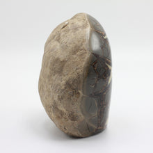 Load image into Gallery viewer, Side view of a tall Septarian Standup with deep Beveled Edges