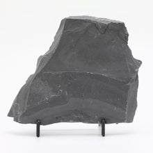 Load image into Gallery viewer, Back side of shale with a trilobite fossil on the front