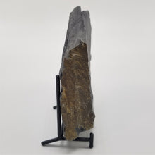 Load image into Gallery viewer, Side view of Shale from the Cambrian Period