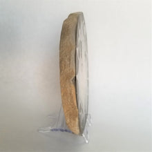 Load image into Gallery viewer, Utah Septarian Slab 5-5.5"