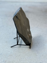 Load image into Gallery viewer, Fossilized Cambrian Choia carteri Sponge
