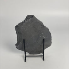 Load image into Gallery viewer, back view of shale on metal stand

