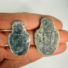 Load image into Gallery viewer, Two small, antique-looking dark gray fossilized trilobites showing the backside held in a person's hand against a plain light background.
