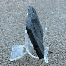 Load image into Gallery viewer, side view of a piece of utah wheeler shale on an acrylic stand

