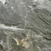 Load image into Gallery viewer, grey shale rock with visible choia sponge
