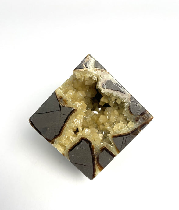 Septarian Cube with shimmering hollow Calcite Crystal Cavity