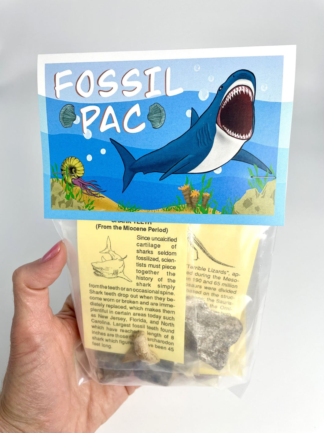 Fossil Pac Educational Collection