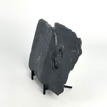 Load image into Gallery viewer, Wheeler Shale prolific with fossil trilobites found in the Utah West Desert
