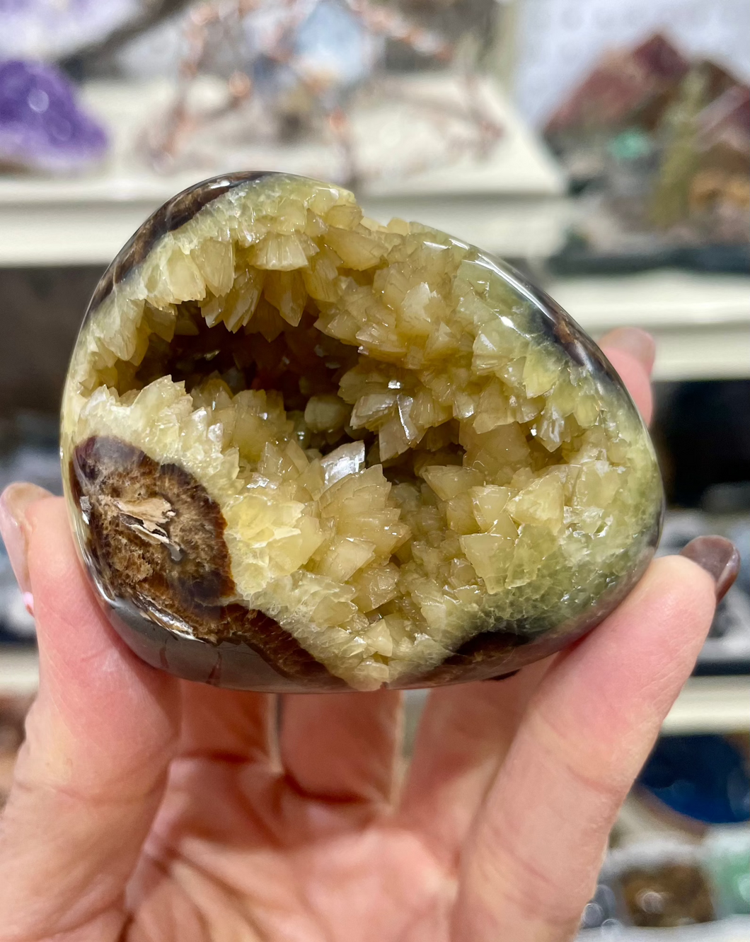 Septarian shaped and polished with crystal interior cavity