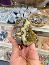 Load image into Gallery viewer, Septarian shaped and polished with crystal interior cavity
