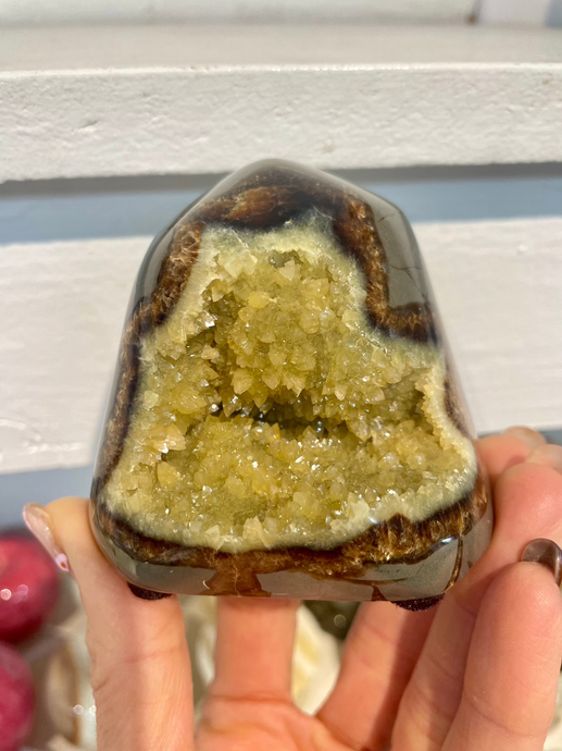 Septarian shaped and polished with crystal interior cavity