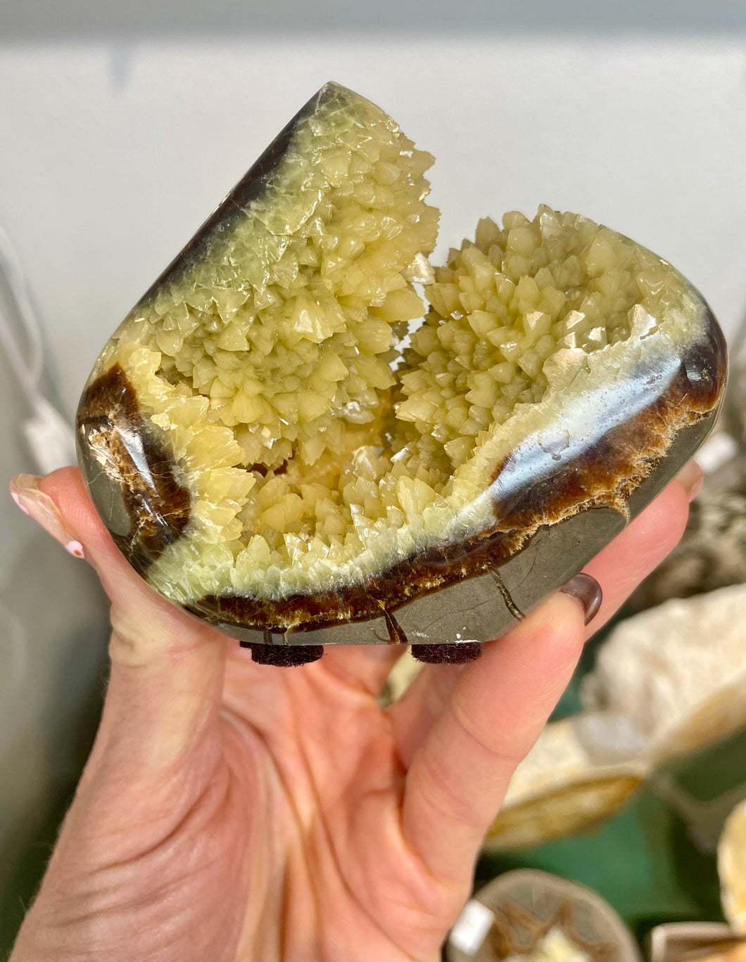 Septarian crystal free form standup