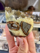 Load image into Gallery viewer, Septarian shaped and polished with crystal interior cavity side view
