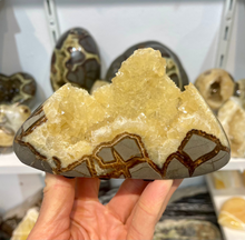 Load image into Gallery viewer, Crystal filled polished Septarian free form
