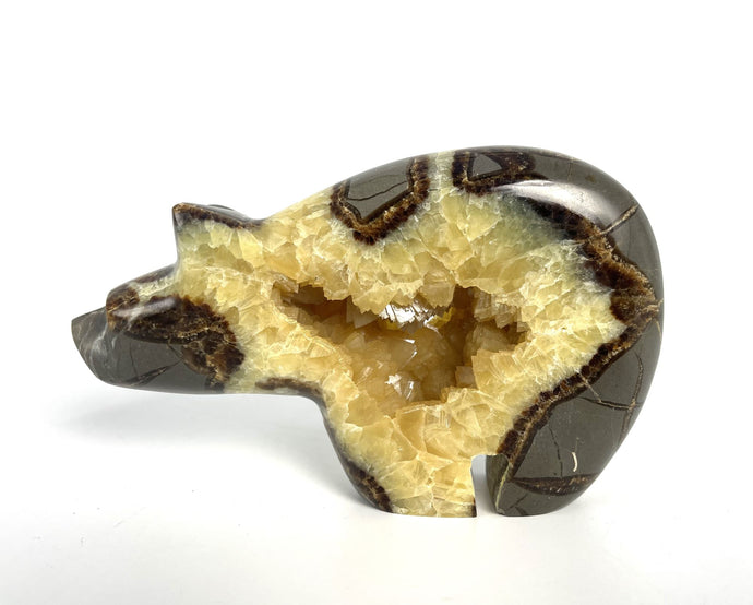 Septarian geode carved and polished into a long neck bear with beautiful calcite crystals in the center