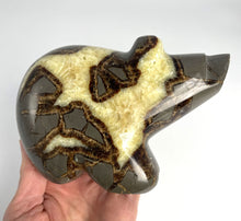 Load image into Gallery viewer, Septarian geode shaped and polished into a long neck bear
