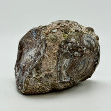 Load image into Gallery viewer, Rough backside of Dugway Geode Standup.
