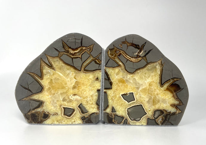 Septarian Bookend high polished face