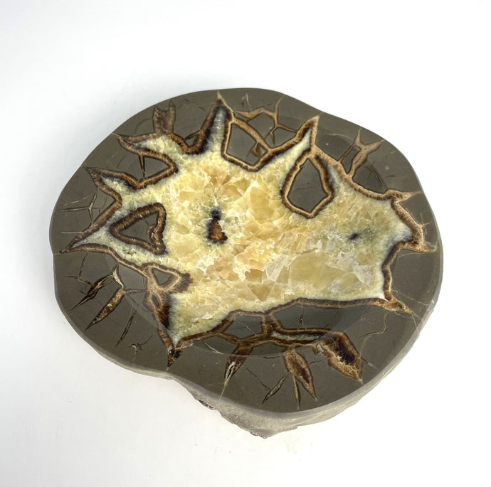 Septarian nodule hand carved and polished into a stunning geo decor bowl