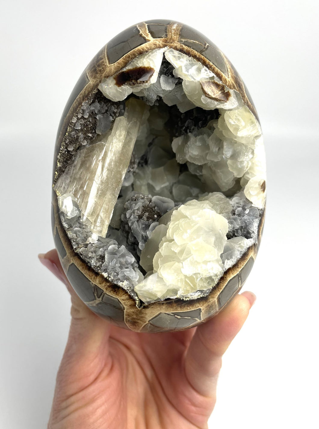 Stunning and Rare Septarian Egg 4 1/2
