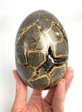 Load image into Gallery viewer, Stunning and Rare Septarian Egg 4 1/2&quot;
