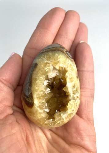 Septarian Geode Crystal Egg Geo Decor