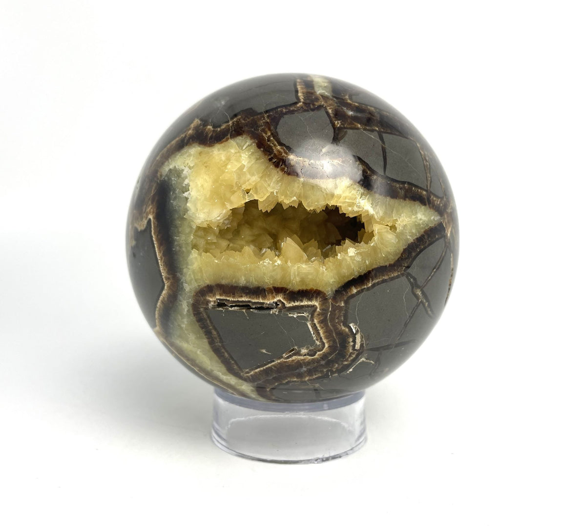 Septarian Sphere with Hollow Calcite Crystal Filled Cavity – The Bug House