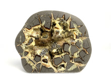 Load image into Gallery viewer, Septarian Standup with unique and varied Calcite Crystal Hollow
