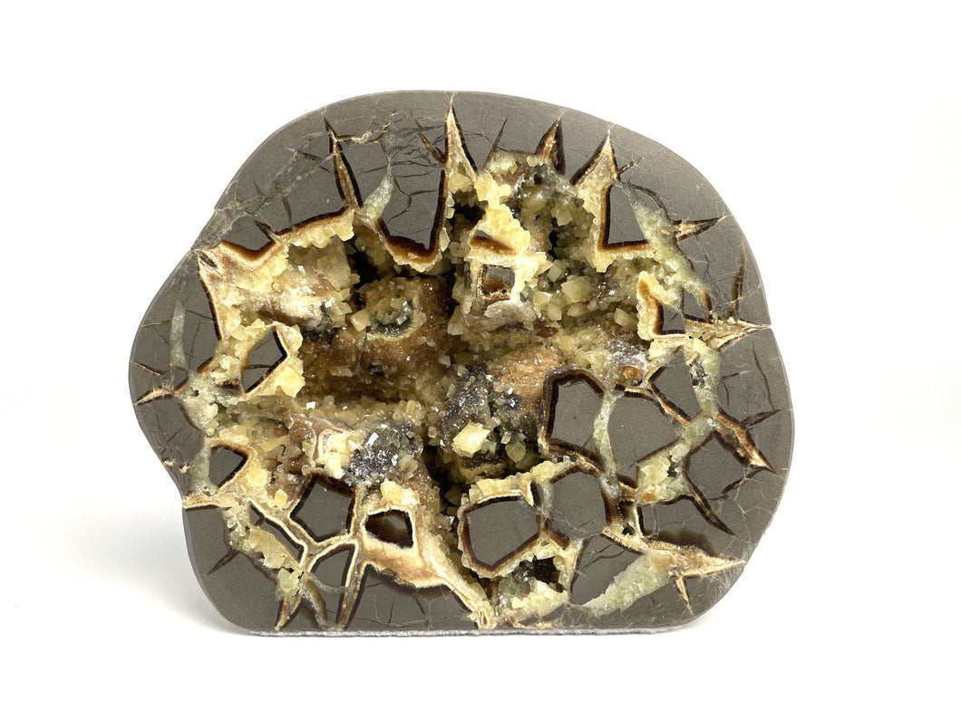 Septarian Standup with unique and varied Calcite Crystal Hollow