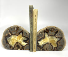 Load image into Gallery viewer, Septarian bookend made from a cut and polished Utah septarian nodule
