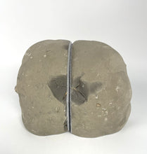 Load image into Gallery viewer, Septarian Bookend with Fossil Remnants 5&quot; tall
