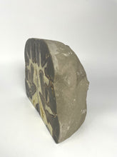 Load image into Gallery viewer, Utah Septarian bookend side view
