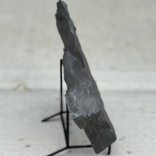 Load image into Gallery viewer, Cambrian Shale on a stand against a light background
