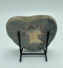 Load image into Gallery viewer, unpolished backside of a Utah septarian slab
