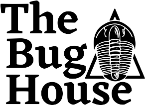 The Bug House