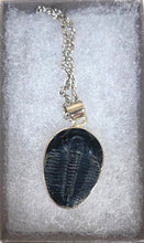 Load image into Gallery viewer, Sterling Silver Trilobite Necklace
